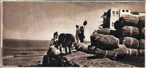 ���� ������ ��� ��� ����