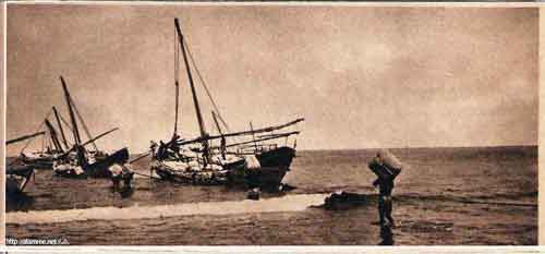 ���� ������ ��� ��� ����