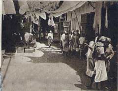 ���� ������ ��� ��� ����