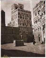 ���� ������ ��� ��� ����