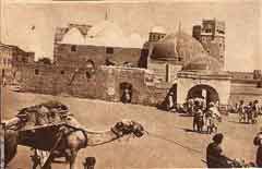 ���� ������ ��� ��� ����