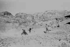 ���� ������ ��� ��� ����