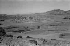 ���� ������ ��� ��� ����