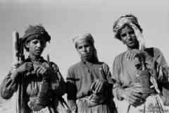 ���� ������ ��� ��� ����