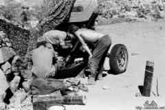 ���� ������ ��� ��� ����