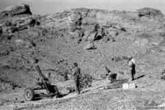 ���� ������ ��� ��� ����