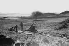 ���� ������ ��� ��� ����