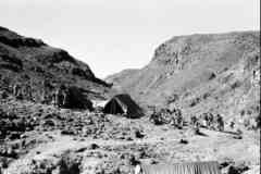 ���� ������ ��� ��� ����