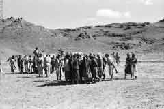 ���� ������ ��� ��� ����