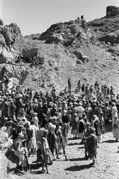 ���� ������ ��� ��� ����