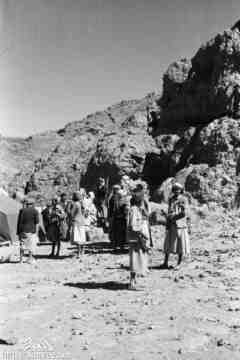 ���� ������ ��� ��� ����