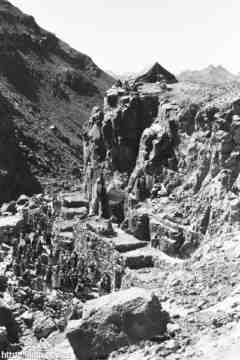 ���� ������ ��� ��� ����