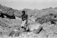 ���� ������ ��� ��� ����