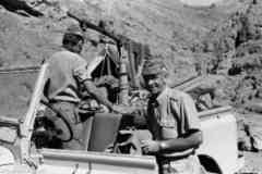 ���� ����� ��� ��� ����