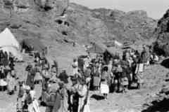 ���� ����� ��� ��� ����