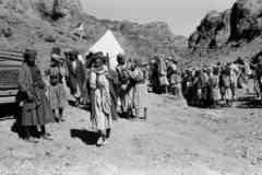 ���� ������ ��� ��� ����