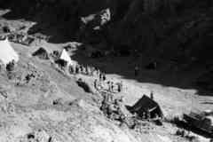 ���� ����� ��� ��� ����