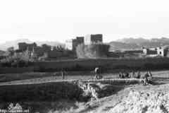 ���� ������ ��� ��� ����