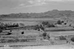 ���� ����� ��� ��� ����