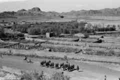 ���� ������ ��� ��� ����