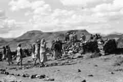 ���� ������ ��� ��� ����