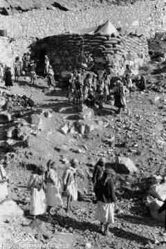 ���� ������ ��� ��� ����