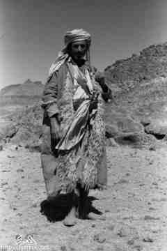 ���� ����� ��� ��� ����