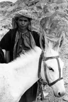 ���� ������ ��� ��� ����