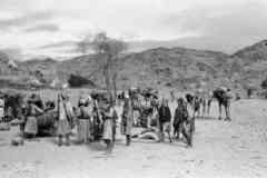 ���� ������ ��� ��� ����