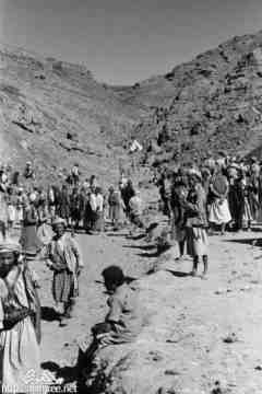 ���� ������ ��� ��� ����