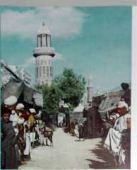 ���� ������ ��� ��� ����