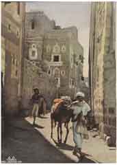 ���� ������ ��� ��� ����