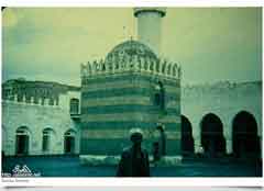 ���� ������ ��� ��� ����