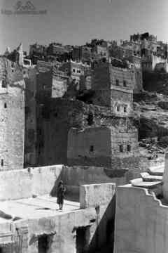 ���� ������ ��� ��� ����