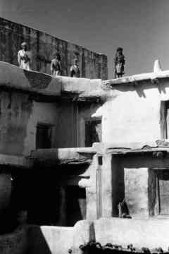 ���� ������ ��� ��� ����