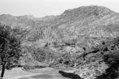 ���� ������ ��� ��� ����