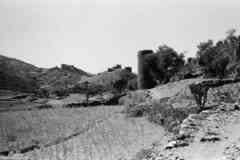 ���� ������ ��� ��� ����