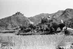 ���� ������ ��� ��� ����