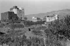 ���� ������ ��� ��� ����