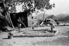 ���� ������ ��� ��� ����