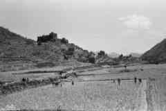 ���� ������ ��� ��� ����