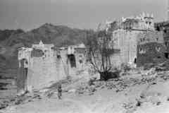 ���� ������ ��� ��� ����