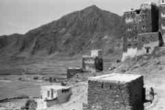 ���� ������ ��� ��� ����