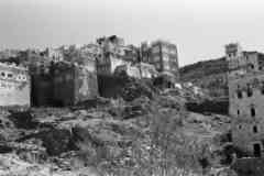 ���� ������ ��� ��� ����