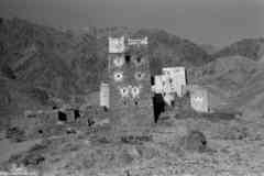 ���� ������ ��� ��� ����