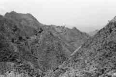 ���� ������ ��� ��� ����