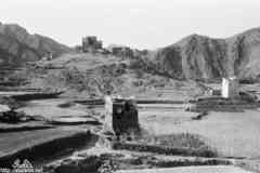 ���� ������ ��� ��� ����