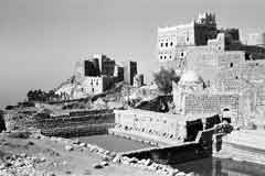 ���� ������ ��� ��� ����