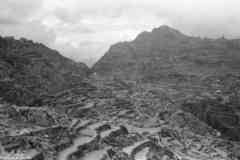 ���� ������ ��� ��� ����