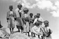 ���� ������ ��� ��� ����